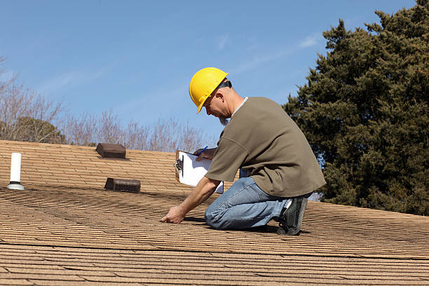 Best Roof Moss and Algae Removal  in Centerville, SC